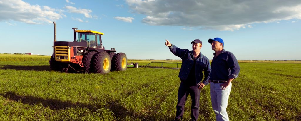 5 Benefícios de comprar em leilões agrícolas
